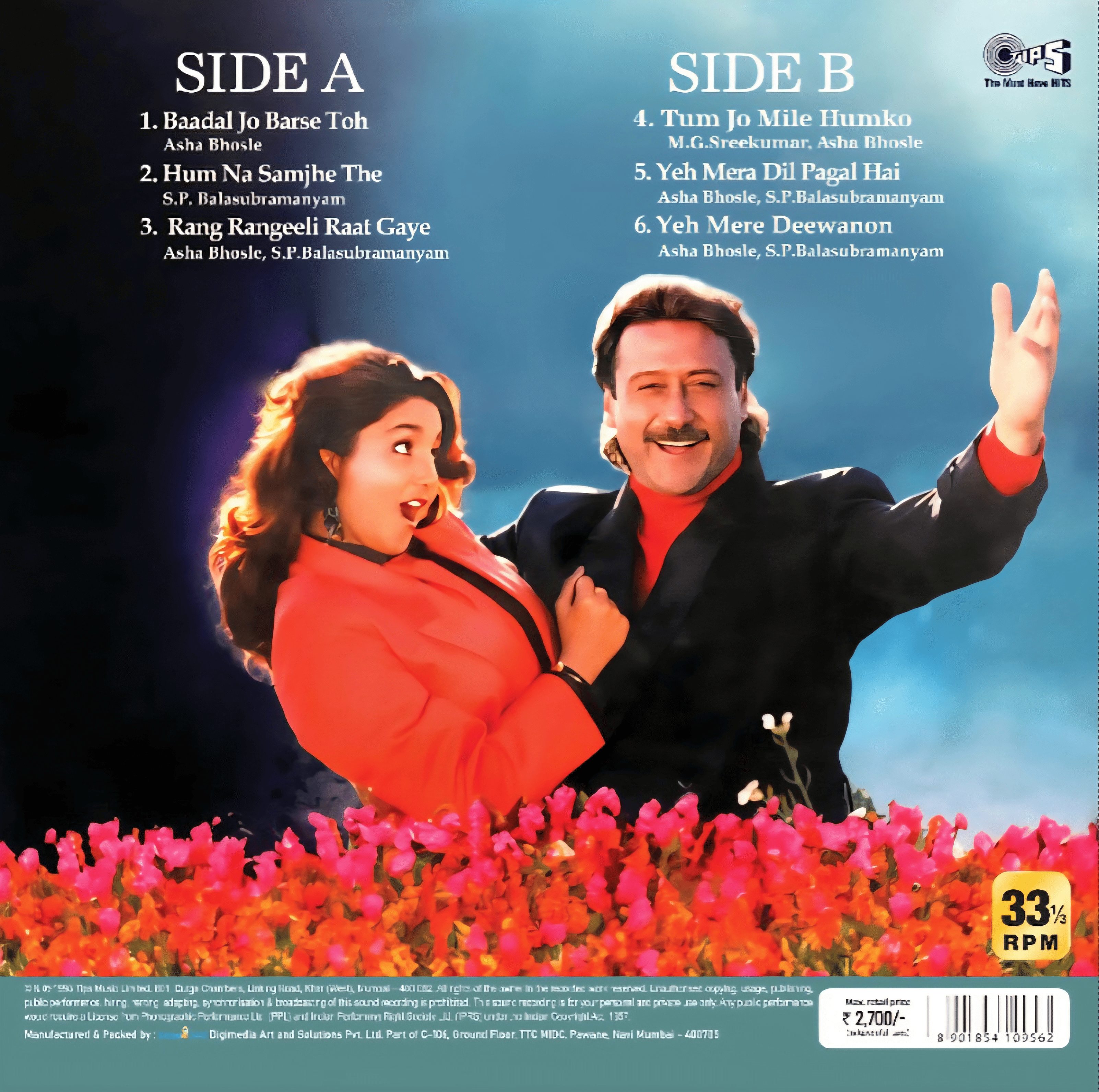 GARDISH - VINYL RECORD alt