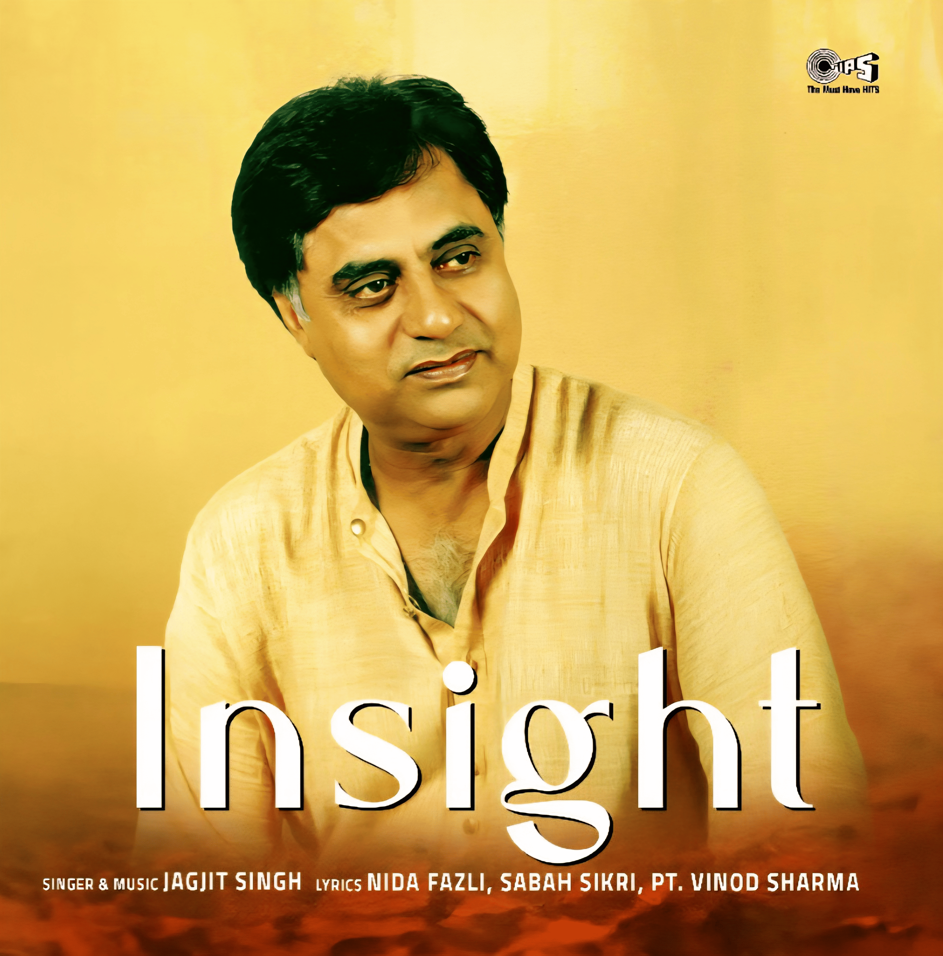 INSIGHT: JAGJIT SINGH - VINYL RECORD
